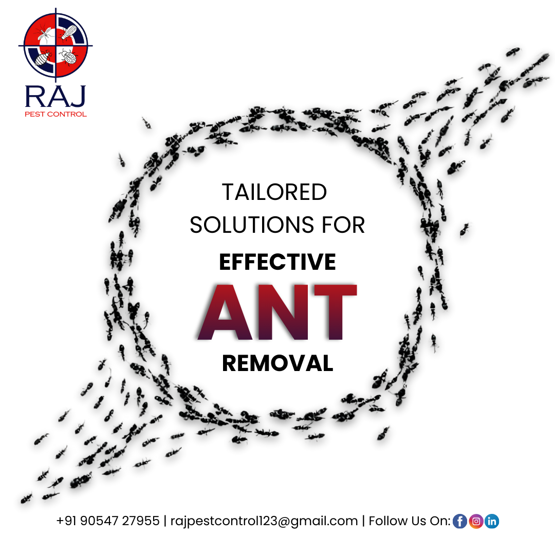 3 Raj Pest Control